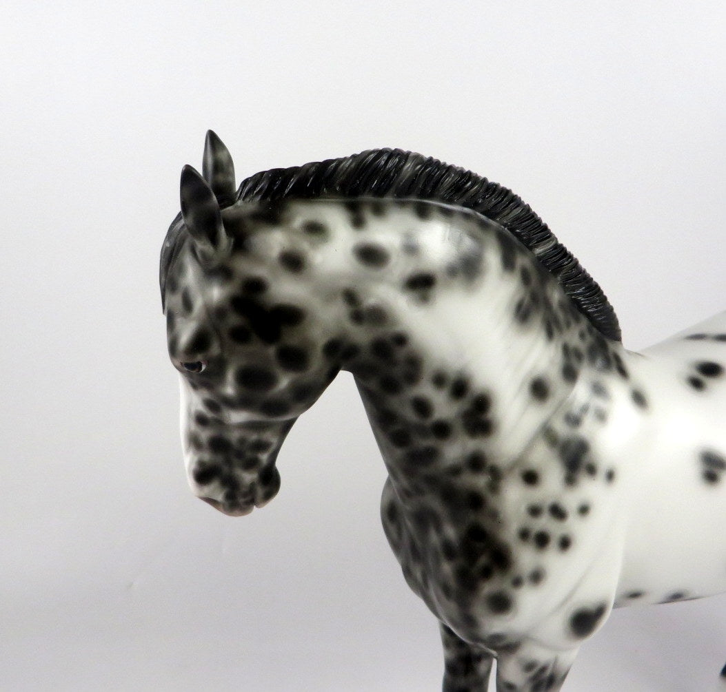BUGS AND HISSES-OOAK LOUD APPALOOSA ANDALUSIAN BY SHERYL LEISURE MM 2019
