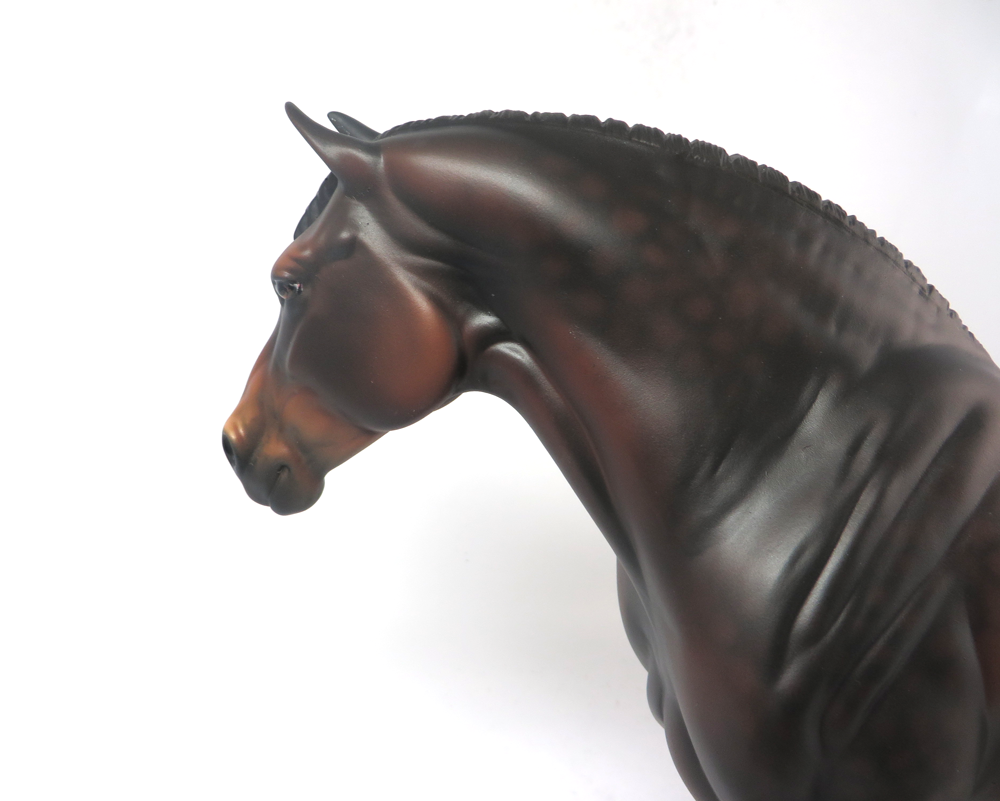 HALLE BERRY-OOAK BAY CM HEAVY DRAFT MARE EA19