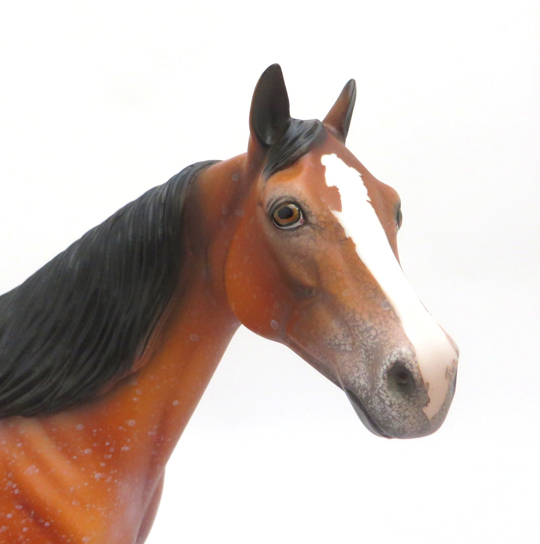 BUSCO-OOAK BAY ROAN ISH MODEL HORSE 2/27/20