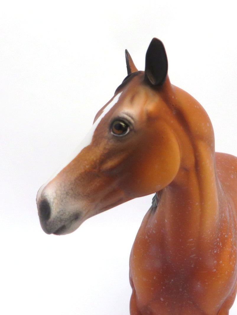 BUSCO-OOAK BAY ROAN ISH MODEL HORSE 2/27/20