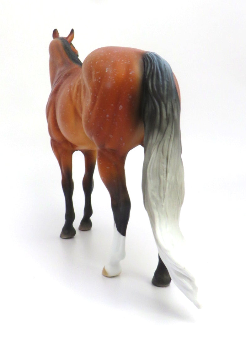 BUSCO-OOAK BAY ROAN ISH MODEL HORSE 2/27/20
