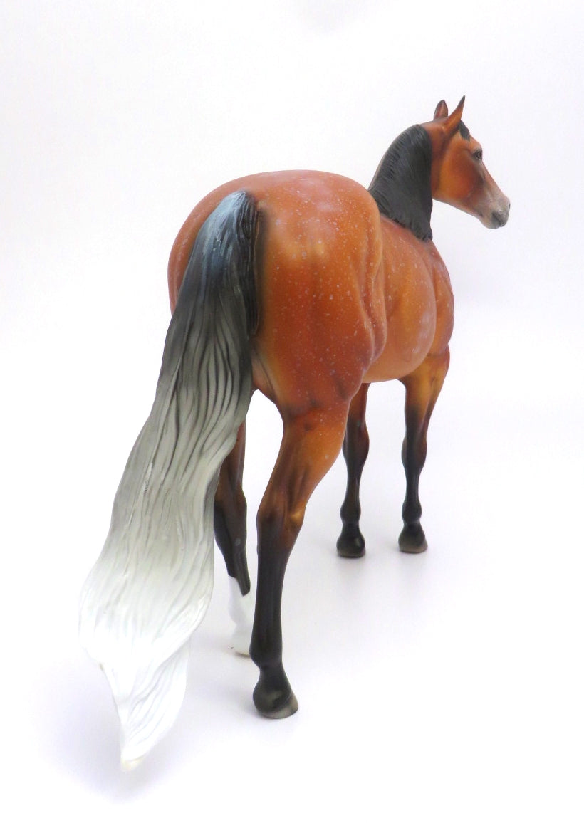 BUSCO-OOAK BAY ROAN ISH MODEL HORSE 2/27/20
