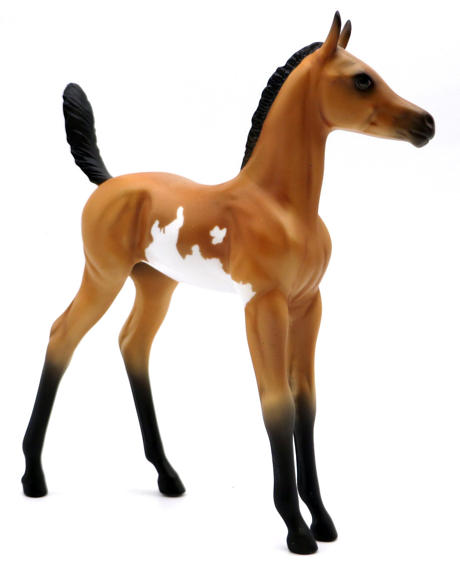 Butterum - OOAK Bay Sabino Foal - Holiday Sale 2021