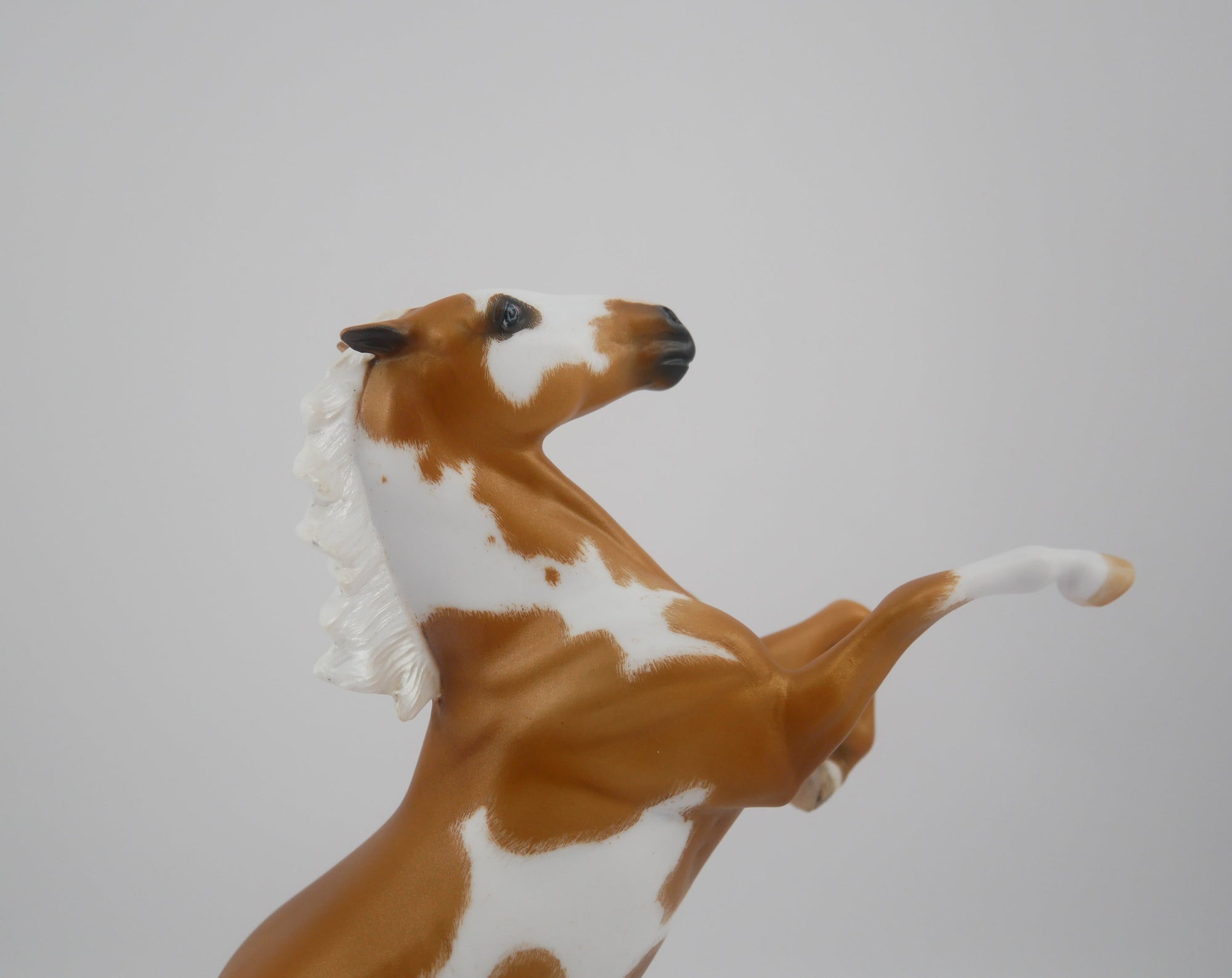 Buttons-OOAK Etched Pinto Palomino By Erika Miller 2020