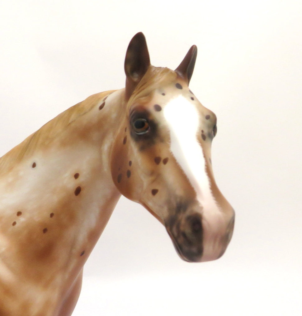 CA TE DIT - OOAK CHESTNUT APPALOOSA ISH BY SHERYL LEISURE 3/4/20