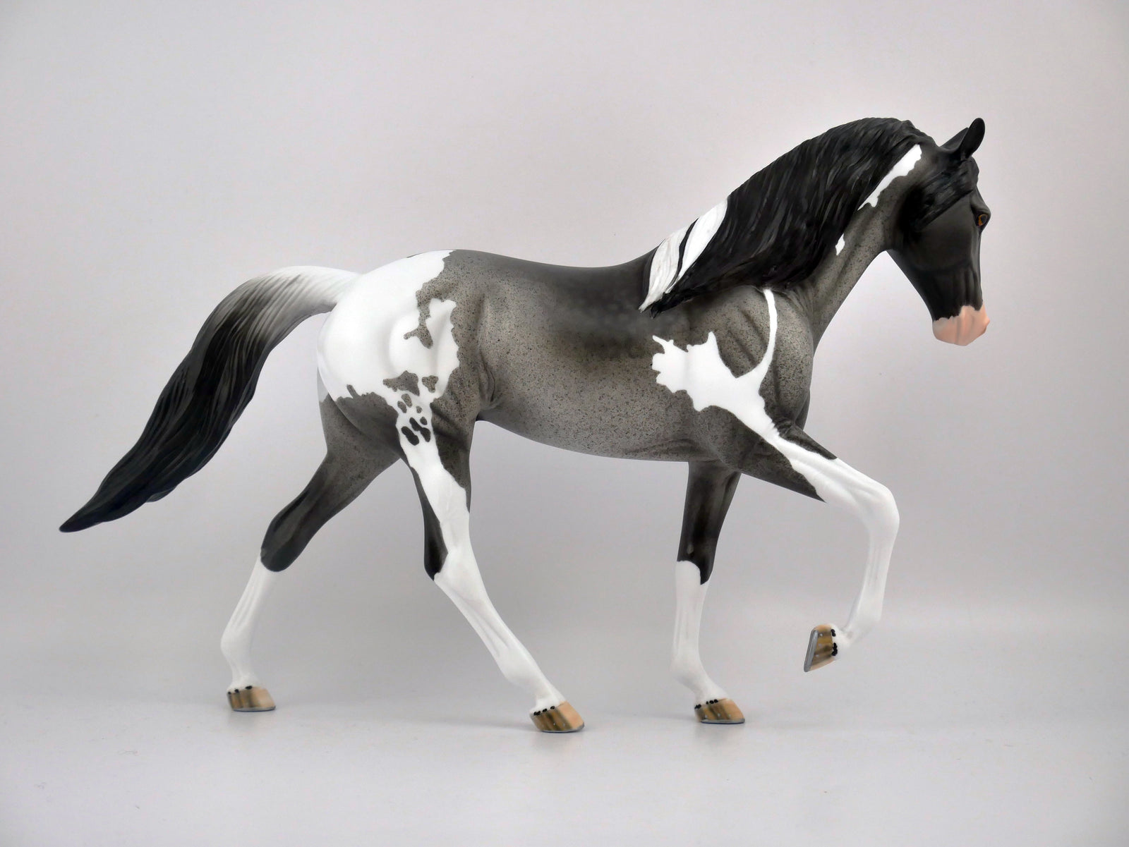 CADET-OOAK BLUE ROAN PINTO TWH BY DAWN QUICK