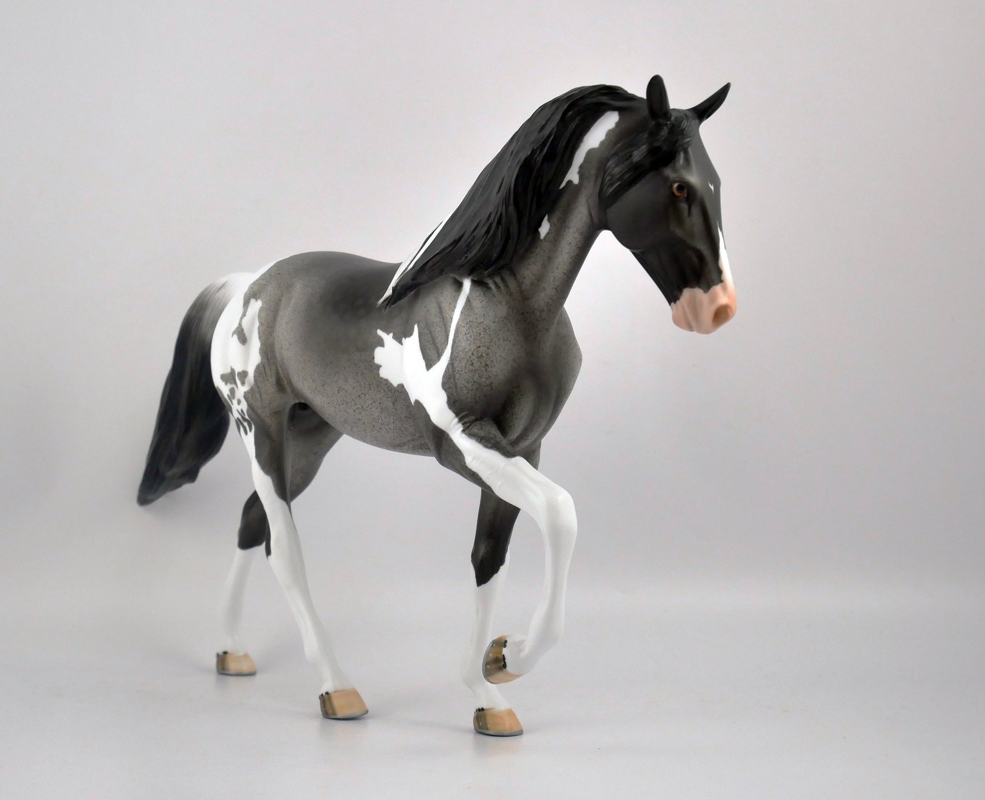 CADET-OOAK BLUE ROAN PINTO TWH BY DAWN QUICK