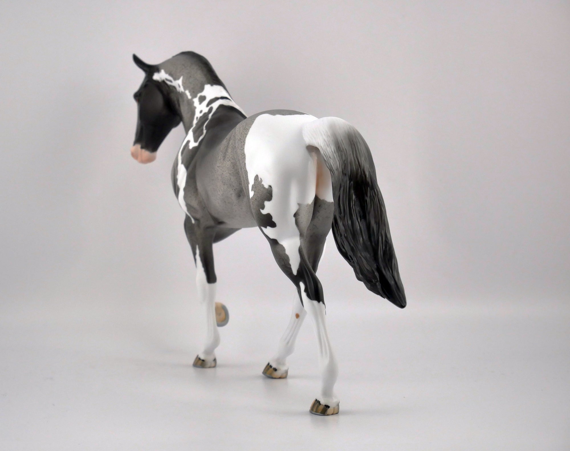 CADET-OOAK BLUE ROAN PINTO TWH BY DAWN QUICK