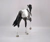 CADET-OOAK BLUE ROAN PINTO TWH BY DAWN QUICK