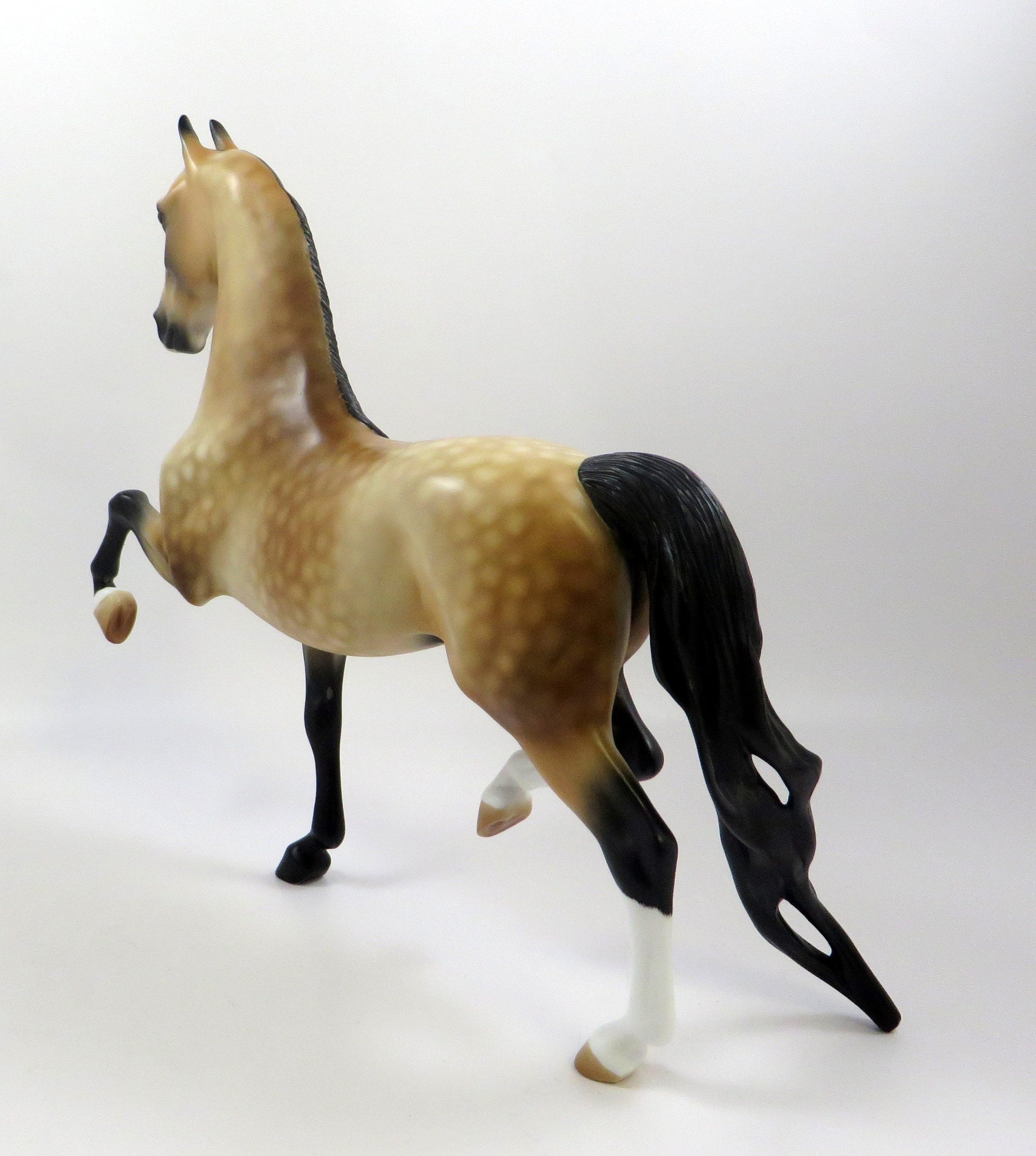 CAESAR - OOAK DAPPLED BUCKSKIN  SADDLEBRED BY AUDREY DIXON EQ19