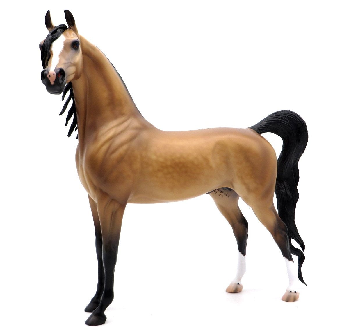 California Dreamin' - OOAK Buckskin Arabian by Caroline Boydston