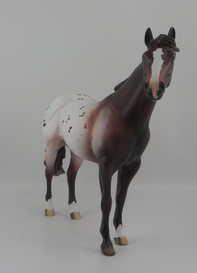 Camaleu-OOAK Appaloosa ISH EQ 2020