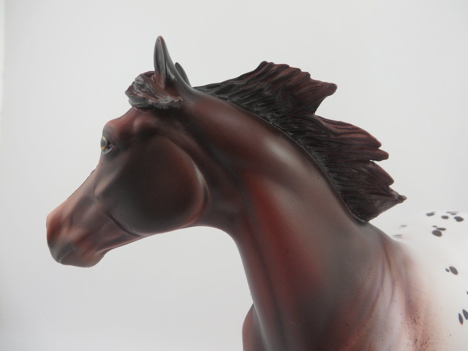 Camaleu-OOAK Appaloosa ISH EQ 2020