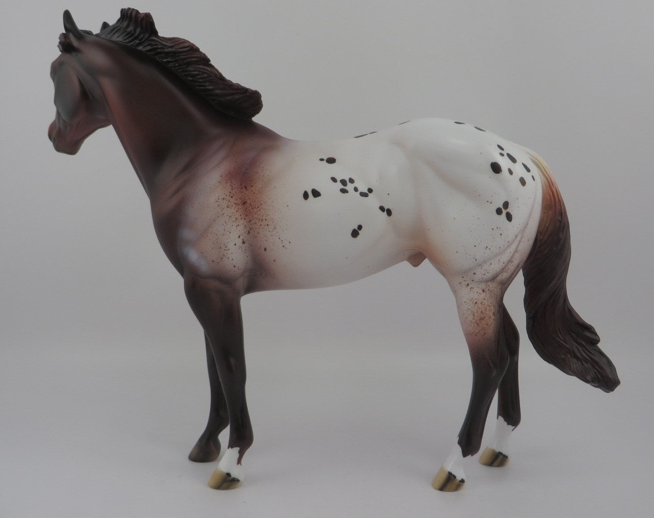 Camaleu-OOAK Appaloosa ISH EQ 2020