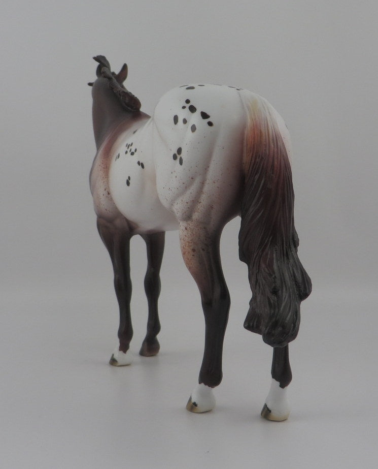 Camaleu-OOAK Appaloosa ISH EQ 2020