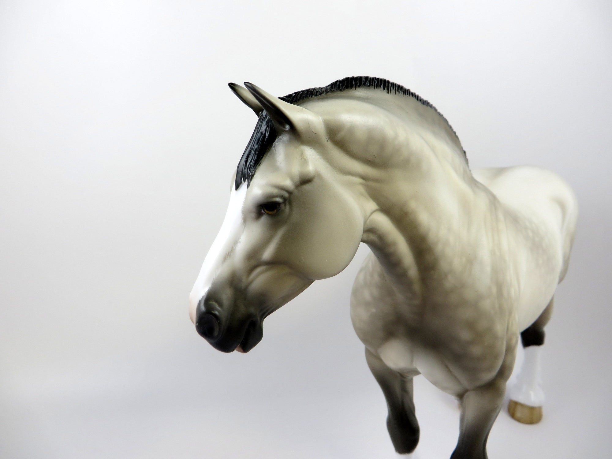 CAMELOT-OOAK PALE BUCKSKIN HEAVY DRAFT EQ 2019