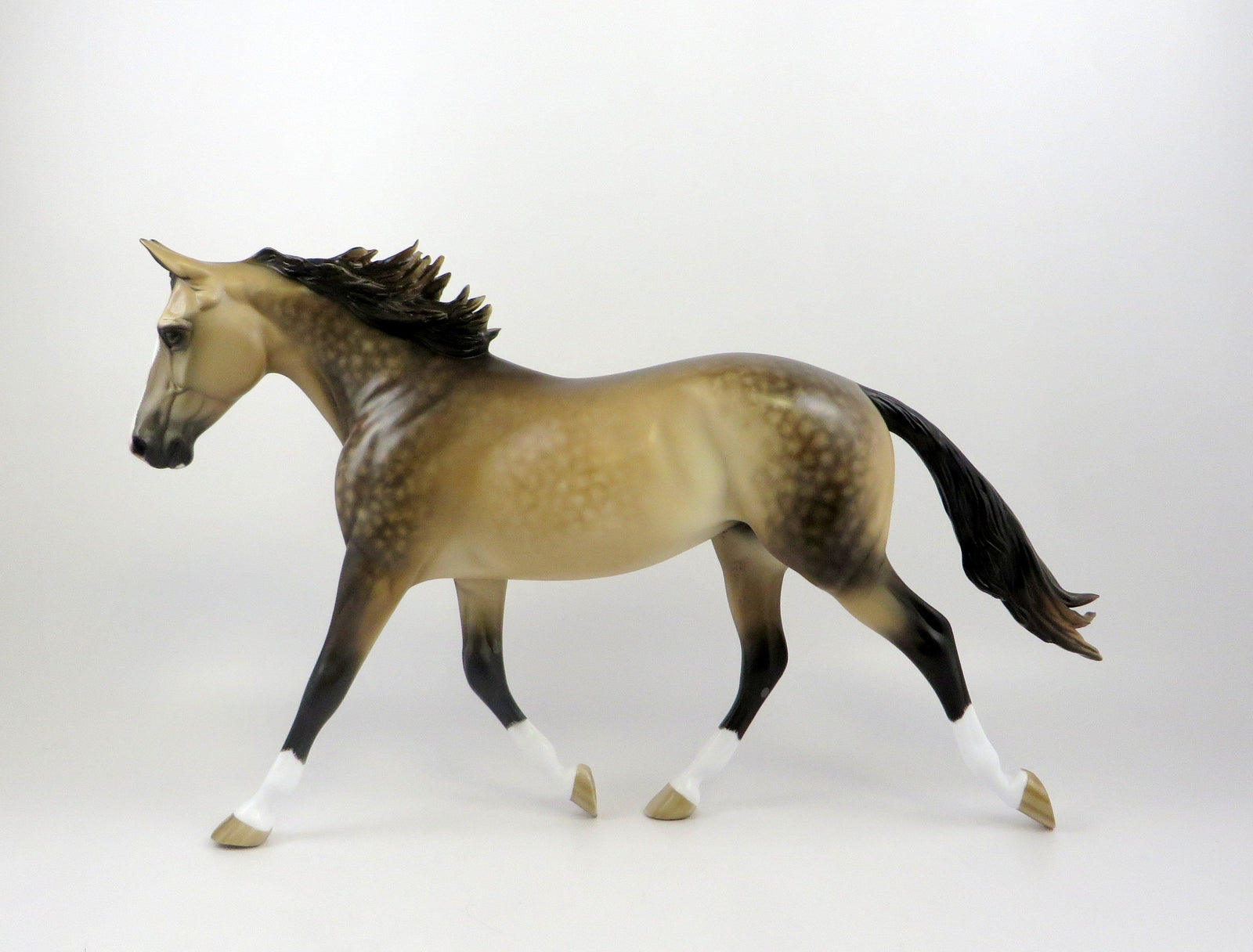 CAN'T WAIT-OOAK DAPPLE BUCKSKIN PALOUSE BY SHERYL LEISURE EQ 2019
