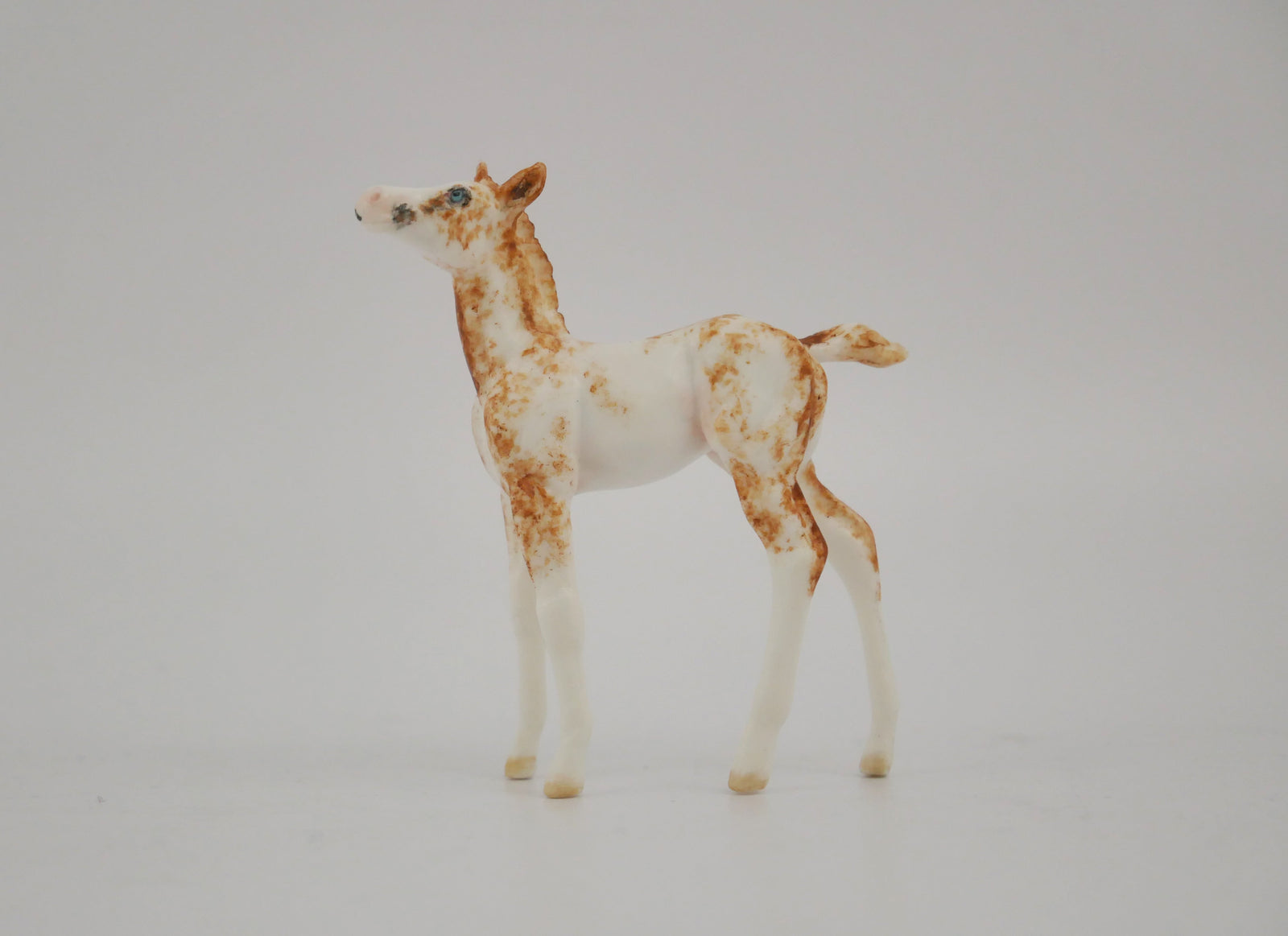 CAPRICE -OOAK CHESTNUT SABINO FOAL BY ANDREA