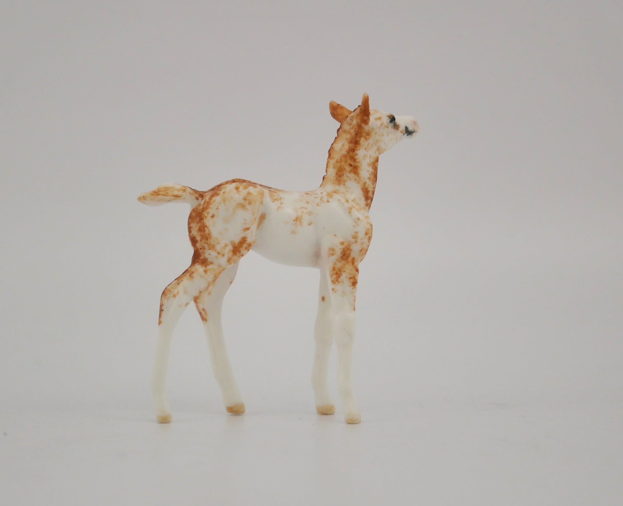 CAPRICE -OOAK CHESTNUT SABINO FOAL BY ANDREA