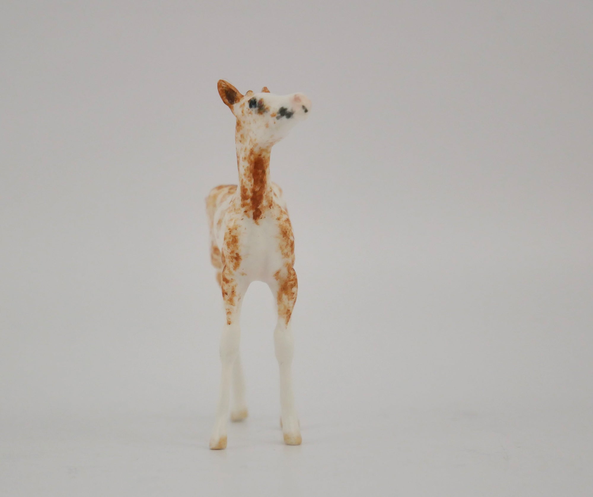 CAPRICE -OOAK CHESTNUT SABINO FOAL BY ANDREA