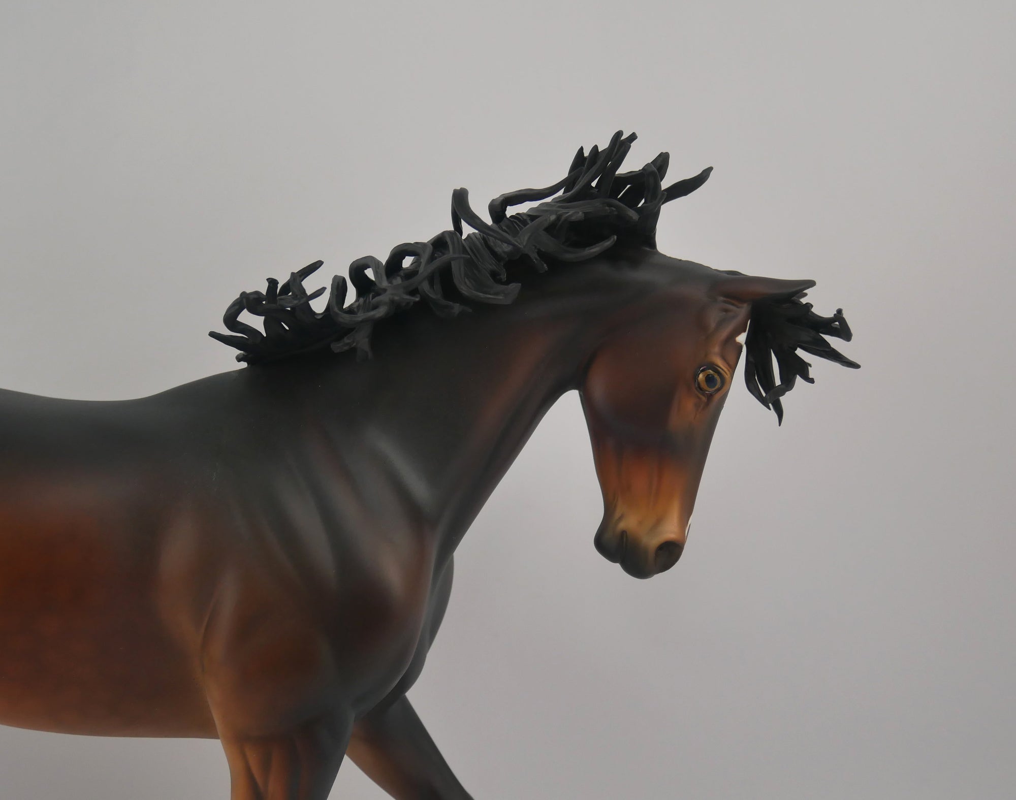 Carpe Diem-OOAK Dapple Bay Thoroughbred by Dawn Quick