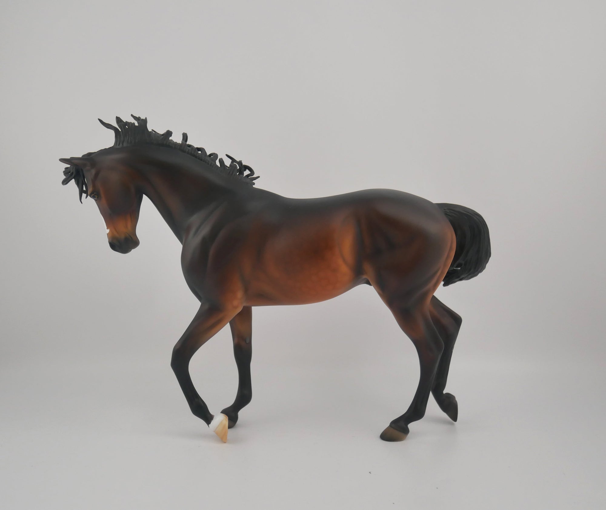 Carpe Diem-OOAK Dapple Bay Thoroughbred by Dawn Quick