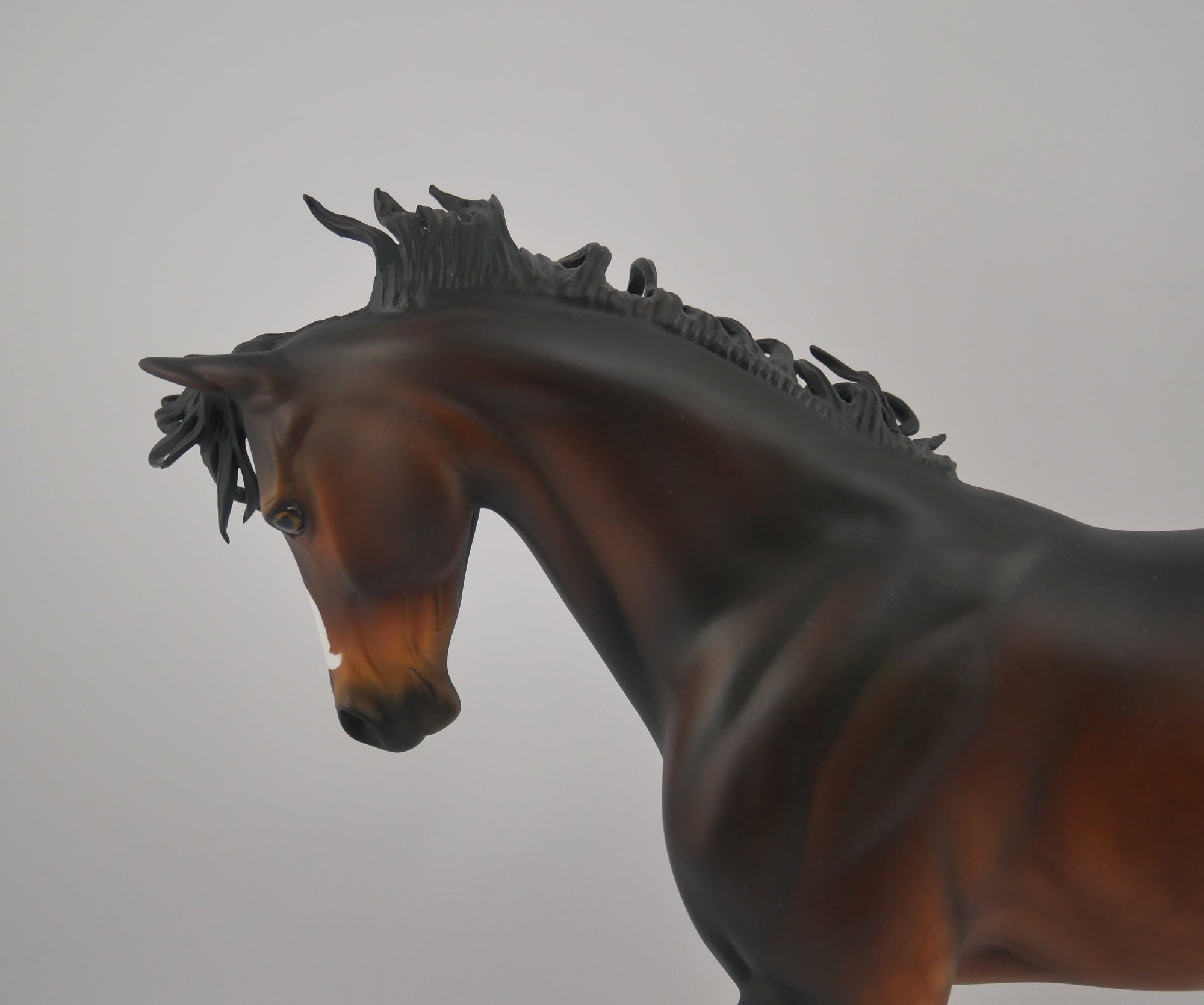 Carpe Diem-OOAK Dapple Bay Thoroughbred by Dawn Quick