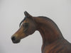 CASEIN-OOAK DAPPLE BAY ARABIAN MODEL HORSE EQ 2020