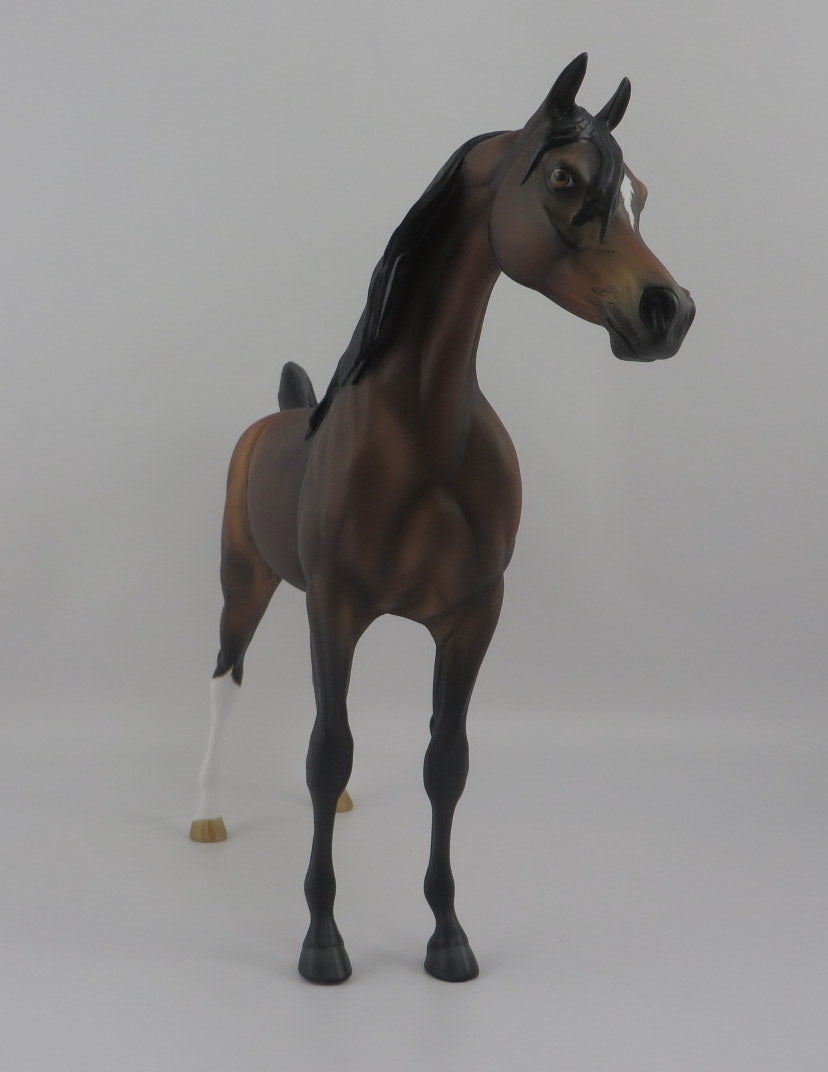 CASEIN-OOAK DAPPLE BAY ARABIAN MODEL HORSE EQ 2020