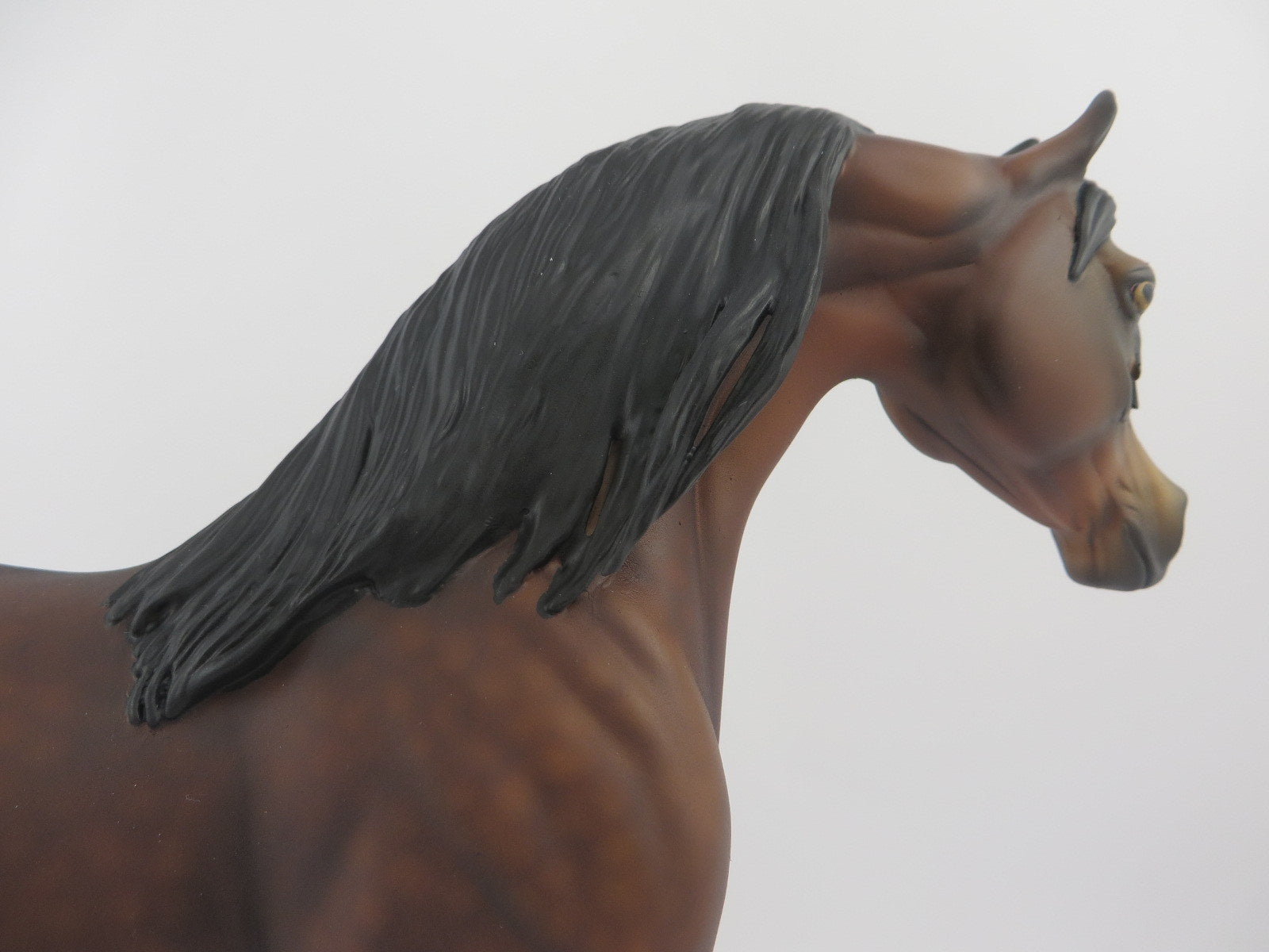 CASEIN-OOAK DAPPLE BAY ARABIAN MODEL HORSE EQ 2020