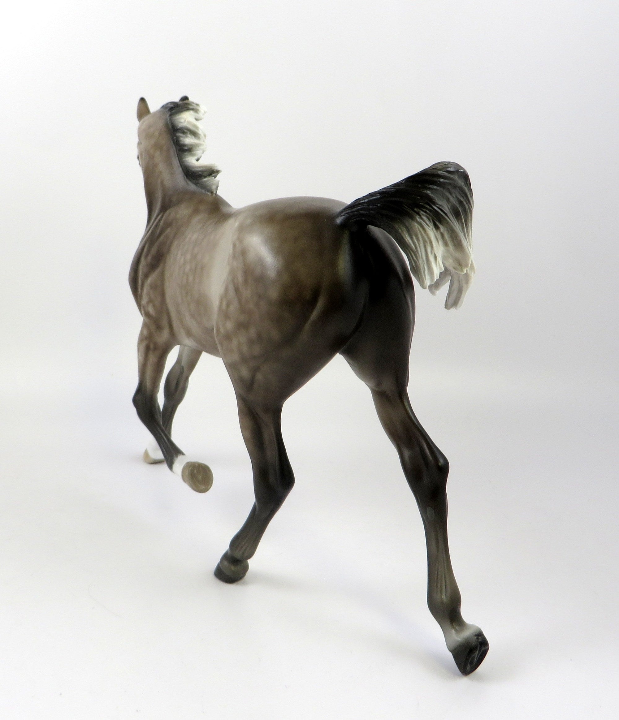 CASPIAN-OOAK STAR DAPPLE ROSE GREY YEARLING EQ 2019