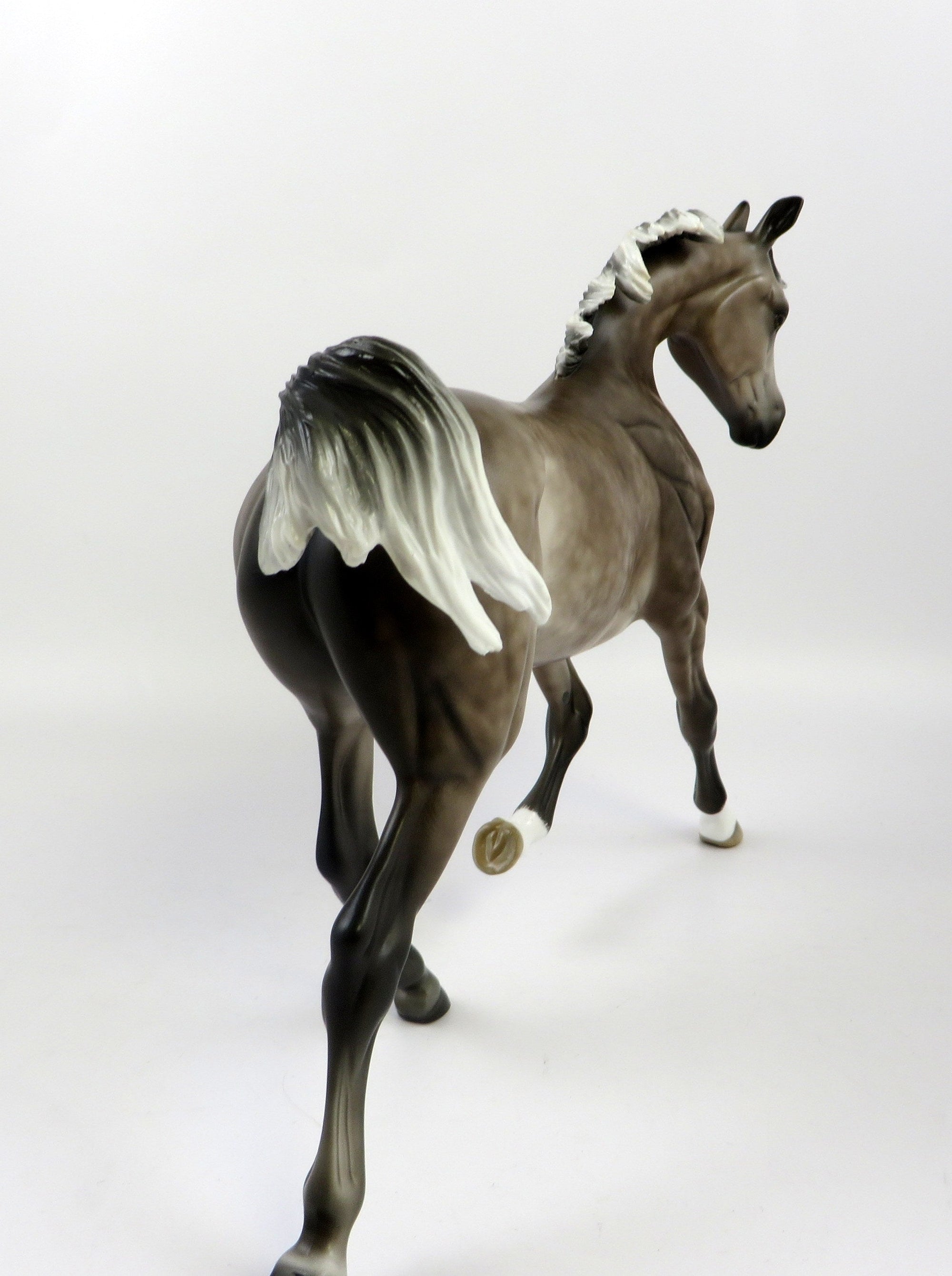 CASPIAN-OOAK STAR DAPPLE ROSE GREY YEARLING EQ 2019