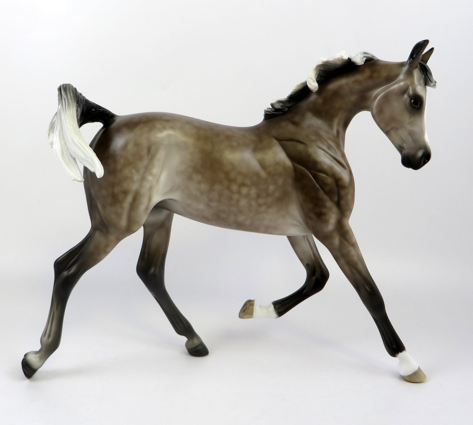 CASPIAN-OOAK STAR DAPPLE ROSE GREY YEARLING EQ 2019