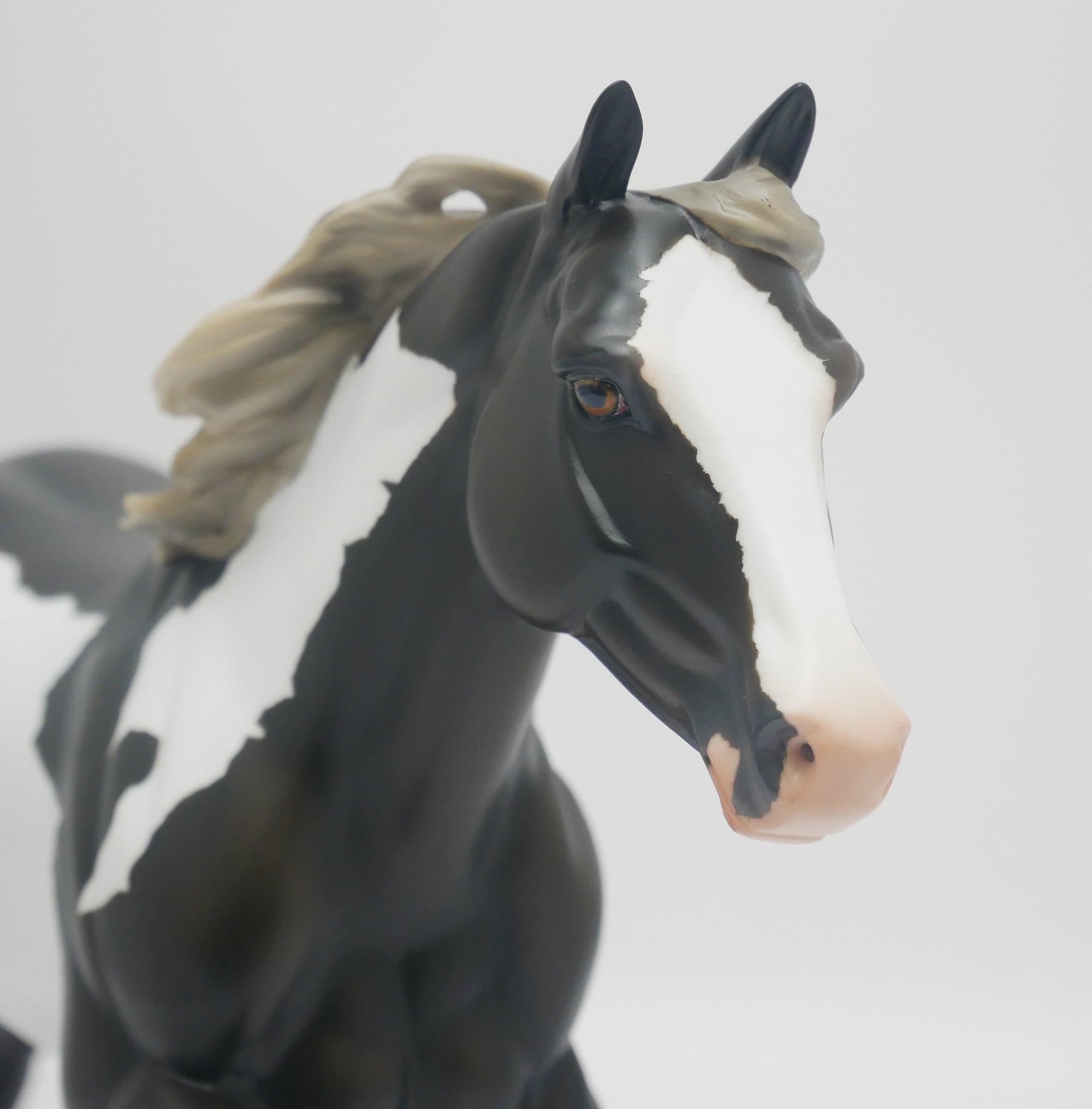 CASTLE ROCK - OOAK BLUE TAFFY PINTO FOUNDATION QUARTER HORSE BY AUDREY DIXON 3/16/20