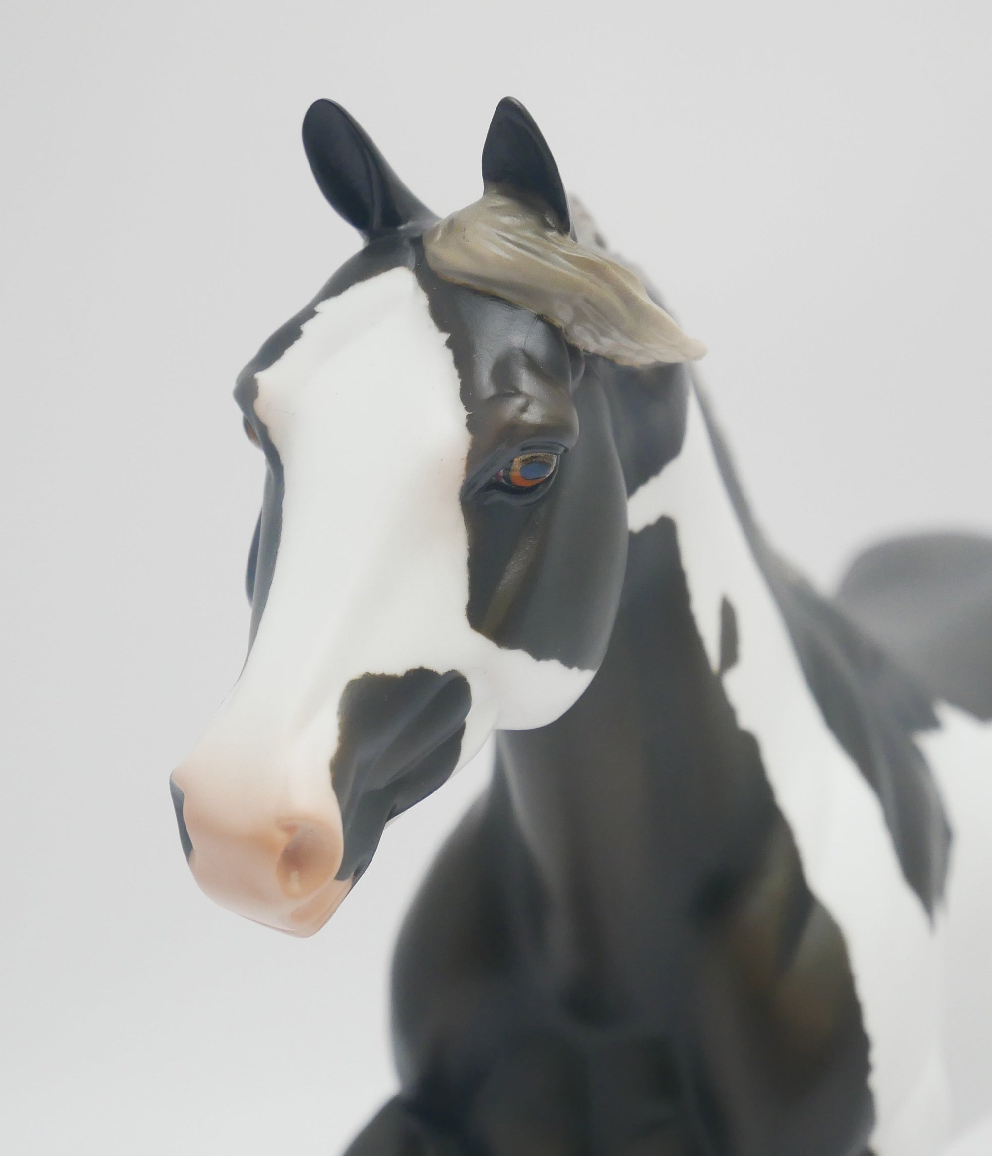 CASTLE ROCK - OOAK BLUE TAFFY PINTO FOUNDATION QUARTER HORSE BY AUDREY DIXON 3/16/20