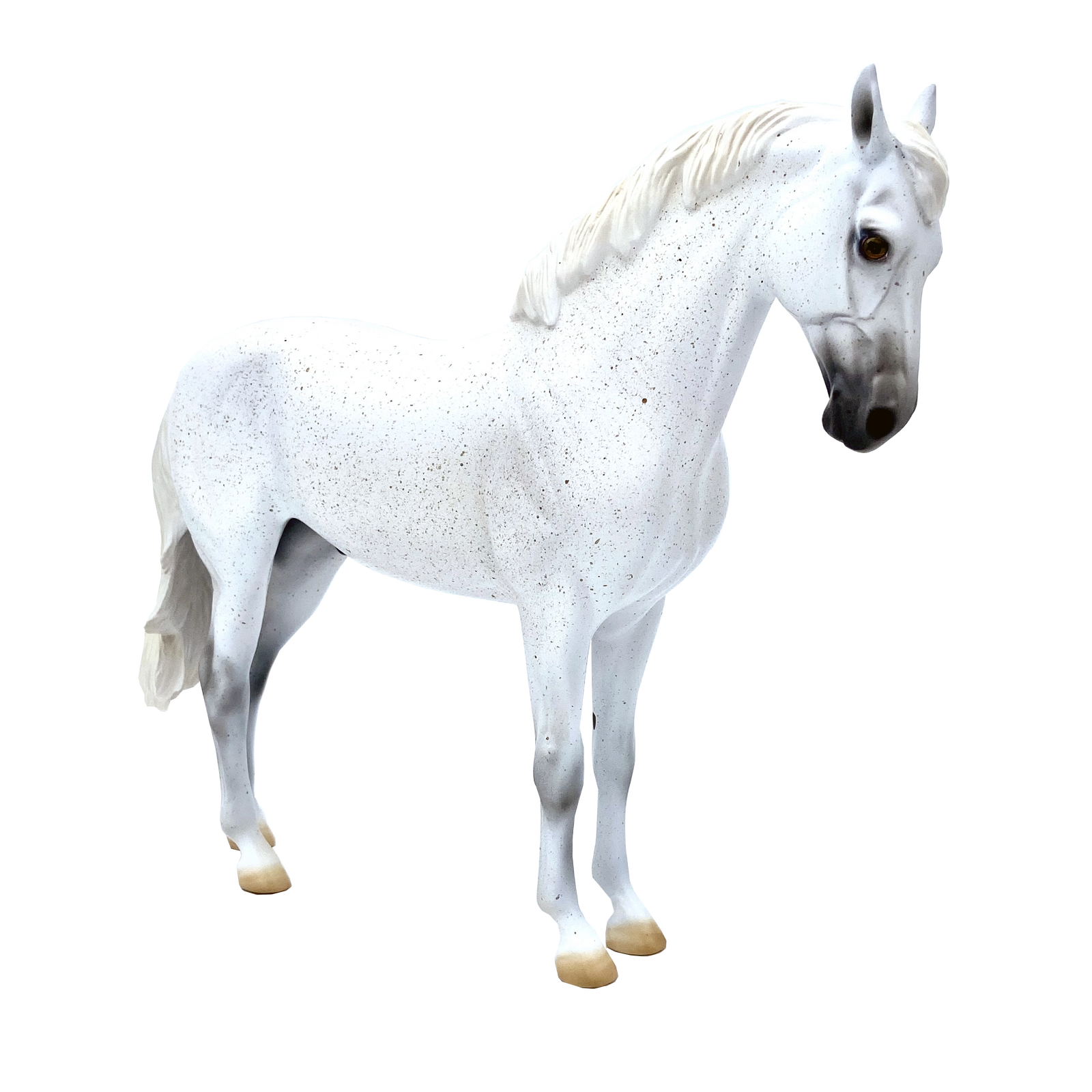 Major League-AKA..Catcher-LE-30 Fleabit Grey Andalusian painted by Ellen Robbins EQ 2021