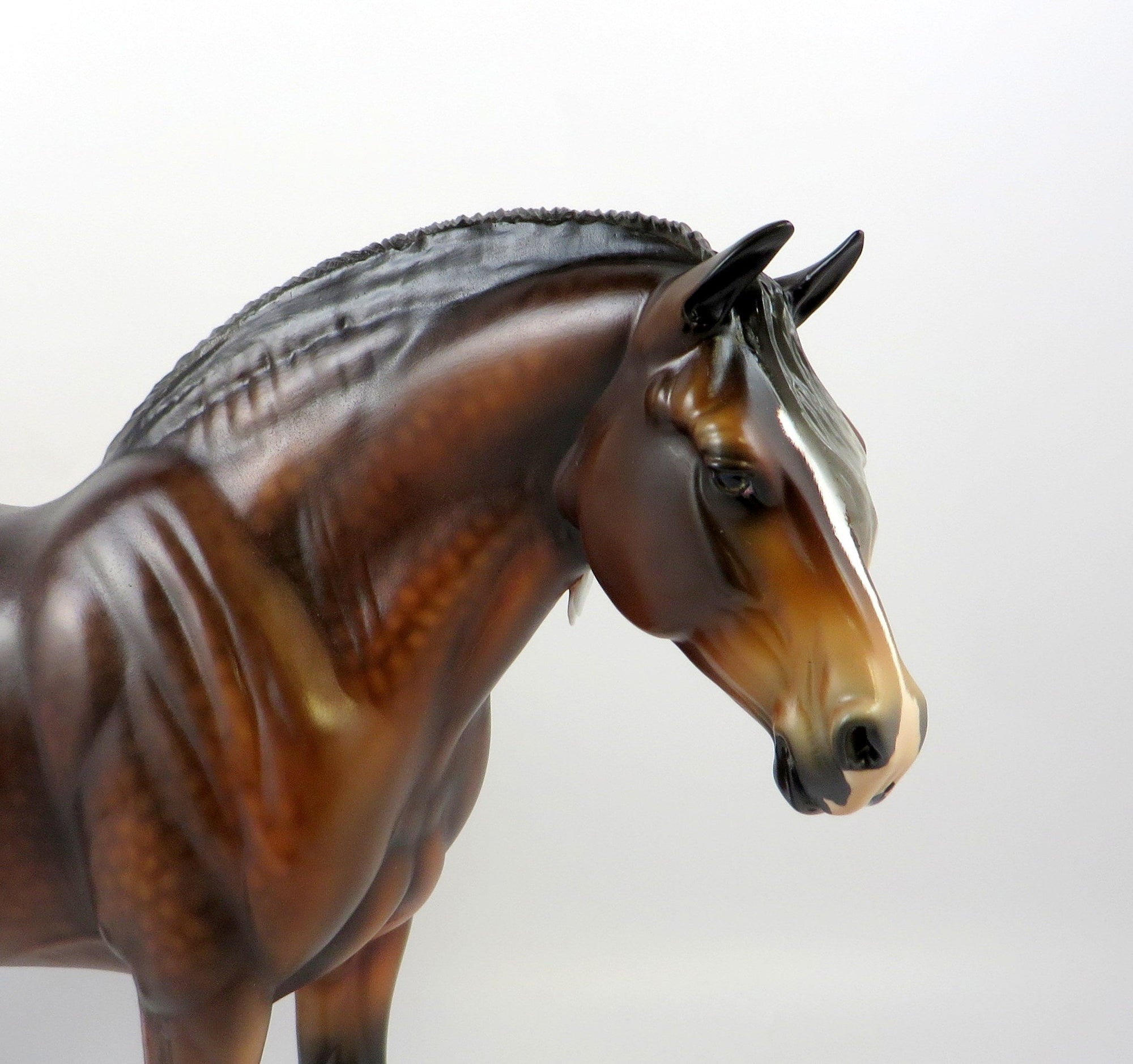 CATELINE-OOAK SILVER BAY HEAVY DRAFT MARE EQ 2019