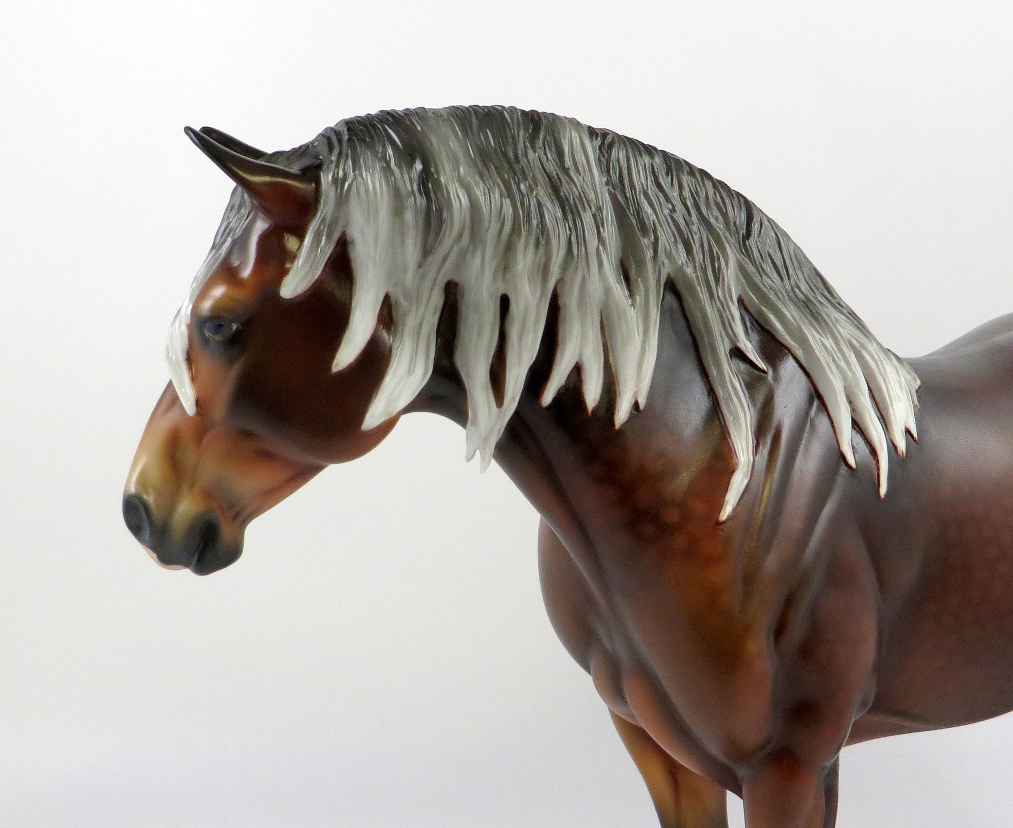 CATELINE-OOAK SILVER BAY HEAVY DRAFT MARE EQ 2019