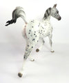 CATTY WAMPUS- OOAK BLACK LEOPARD APPALOOSA YEARLING MODEL HORSE BY SHERYL LEISURE 2/6/20
