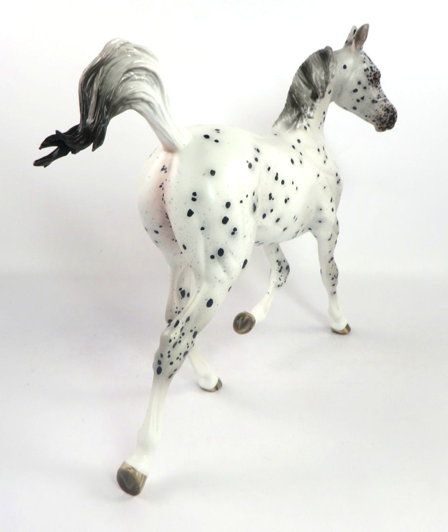 CATTY WAMPUS- OOAK BLACK LEOPARD APPALOOSA YEARLING MODEL HORSE BY SHERYL LEISURE 2/6/20