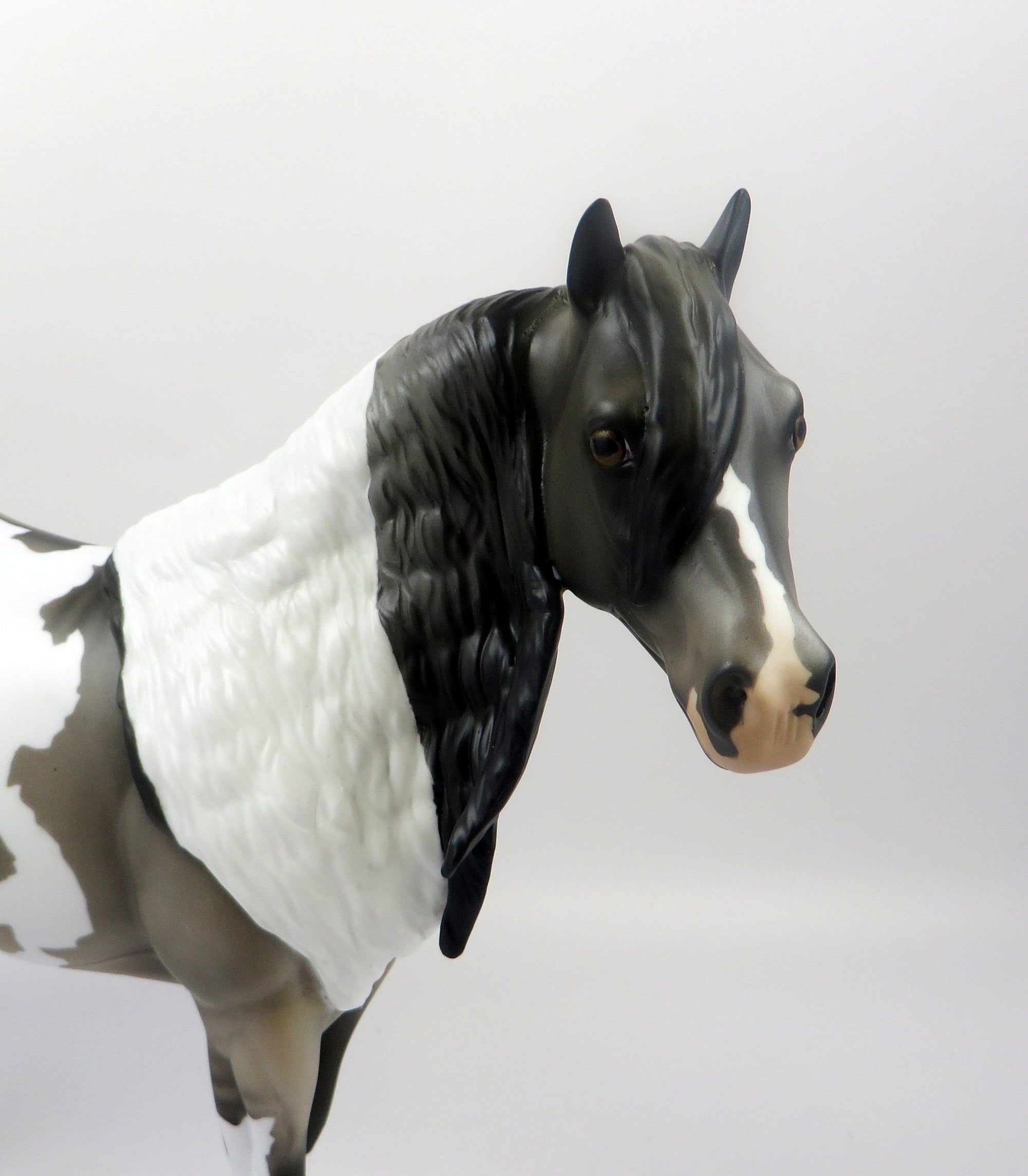 CEDANY-OOAK GRULLA ISH MODEL HORSE EQ 19