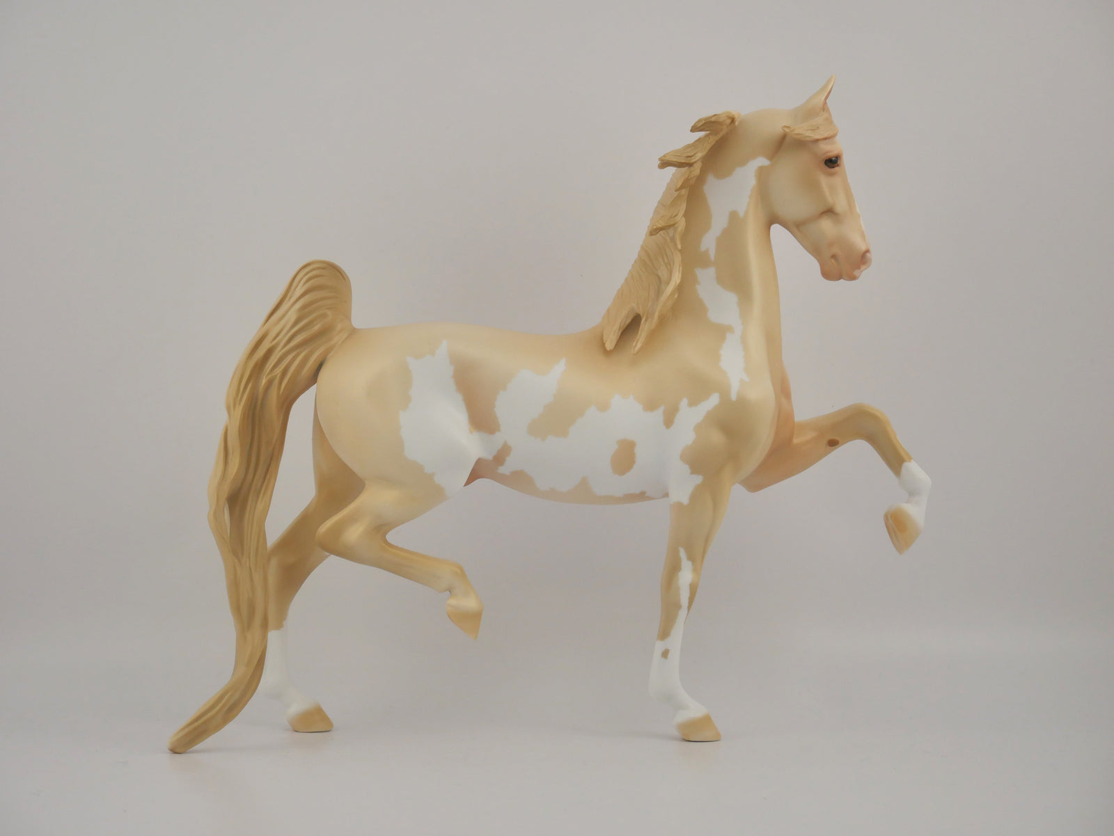 CHAMPAGNE-OOAK CHAMPAGNE PINTO SADDLEBRED BY DAWN QUICK