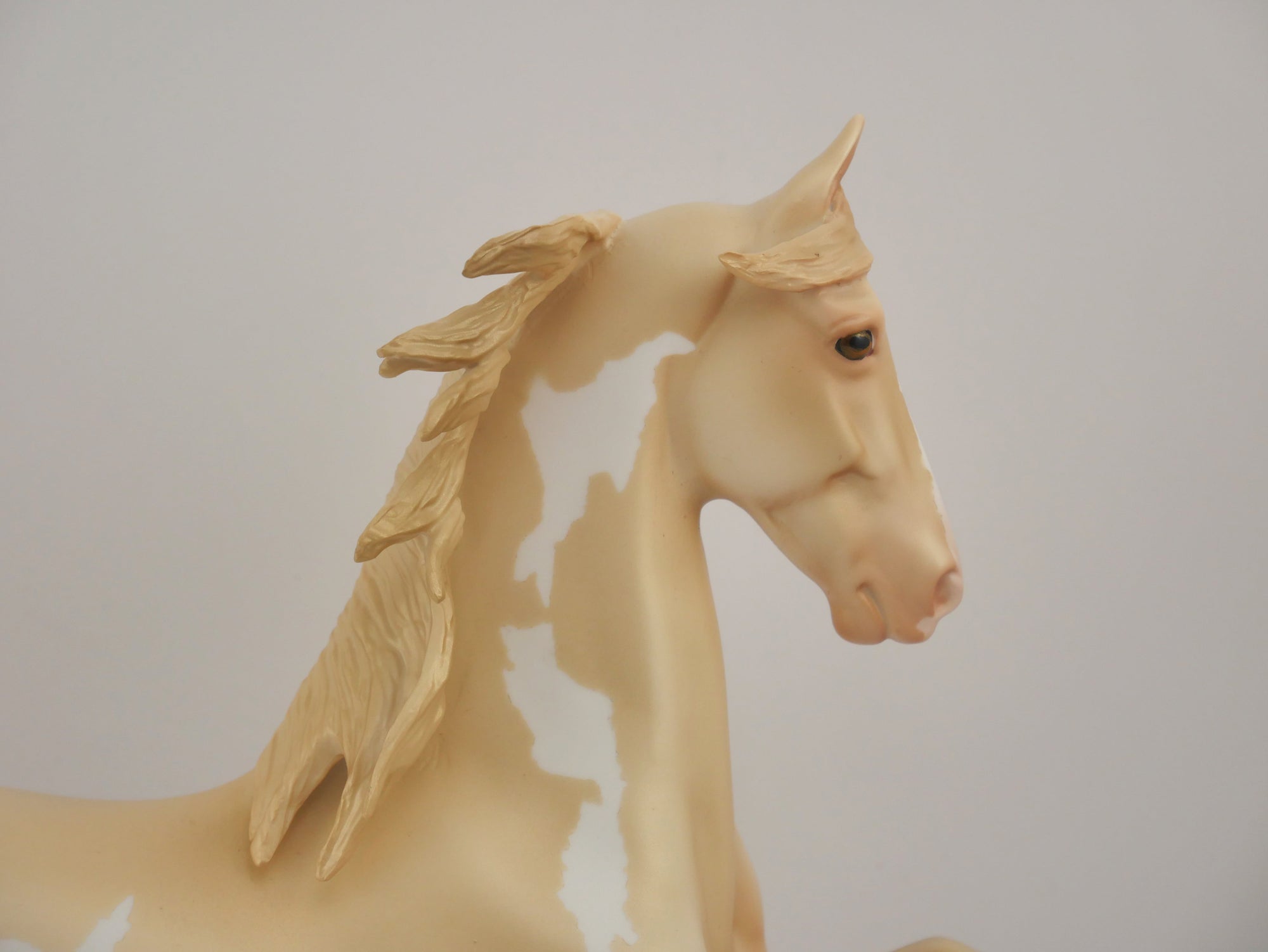 CHAMPAGNE-OOAK CHAMPAGNE PINTO SADDLEBRED BY DAWN QUICK