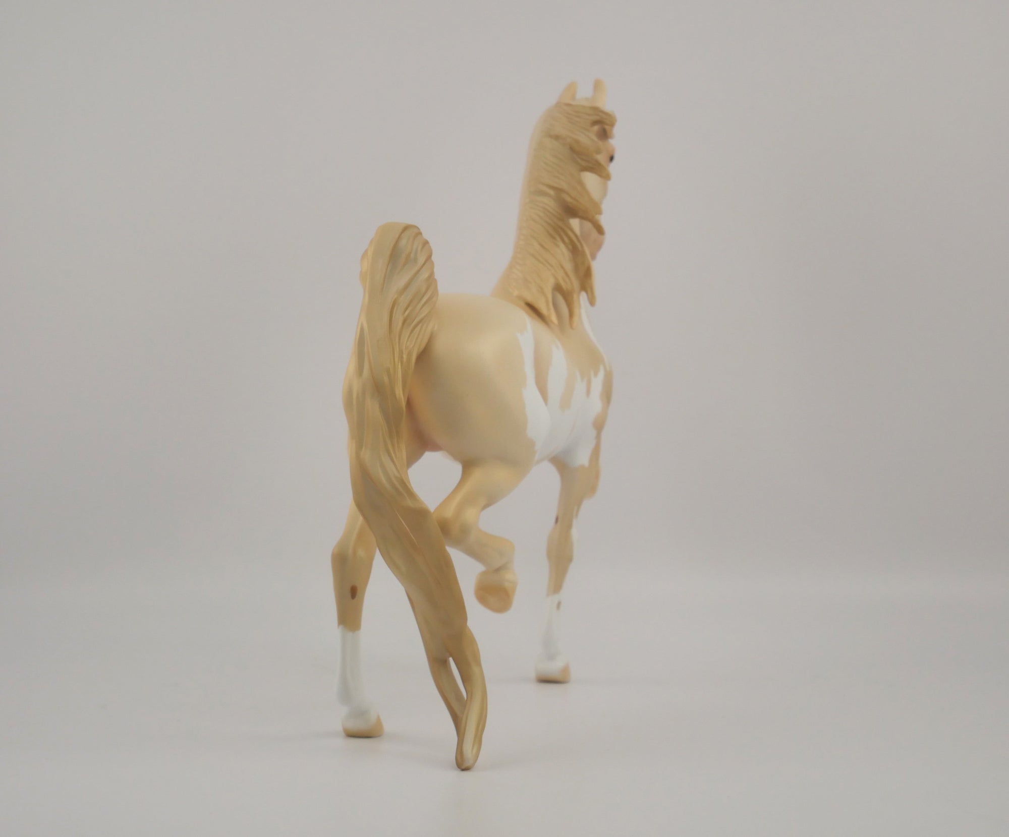 CHAMPAGNE-OOAK CHAMPAGNE PINTO SADDLEBRED BY DAWN QUICK