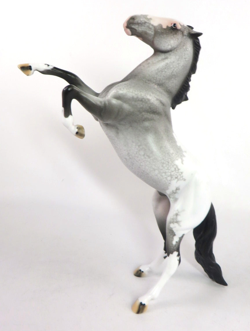 CHAMPAGNE AFTER DARK- OOAK GREY APPALOOSA  PEBBLES BY DAWN QUICK 02/14/20