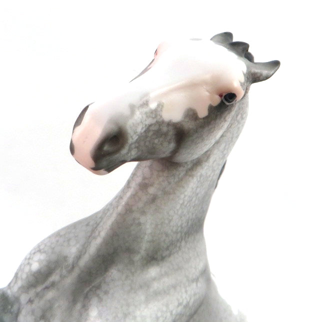 CHAMPAGNE AFTER DARK- OOAK GREY APPALOOSA  PEBBLES BY DAWN QUICK 02/14/20