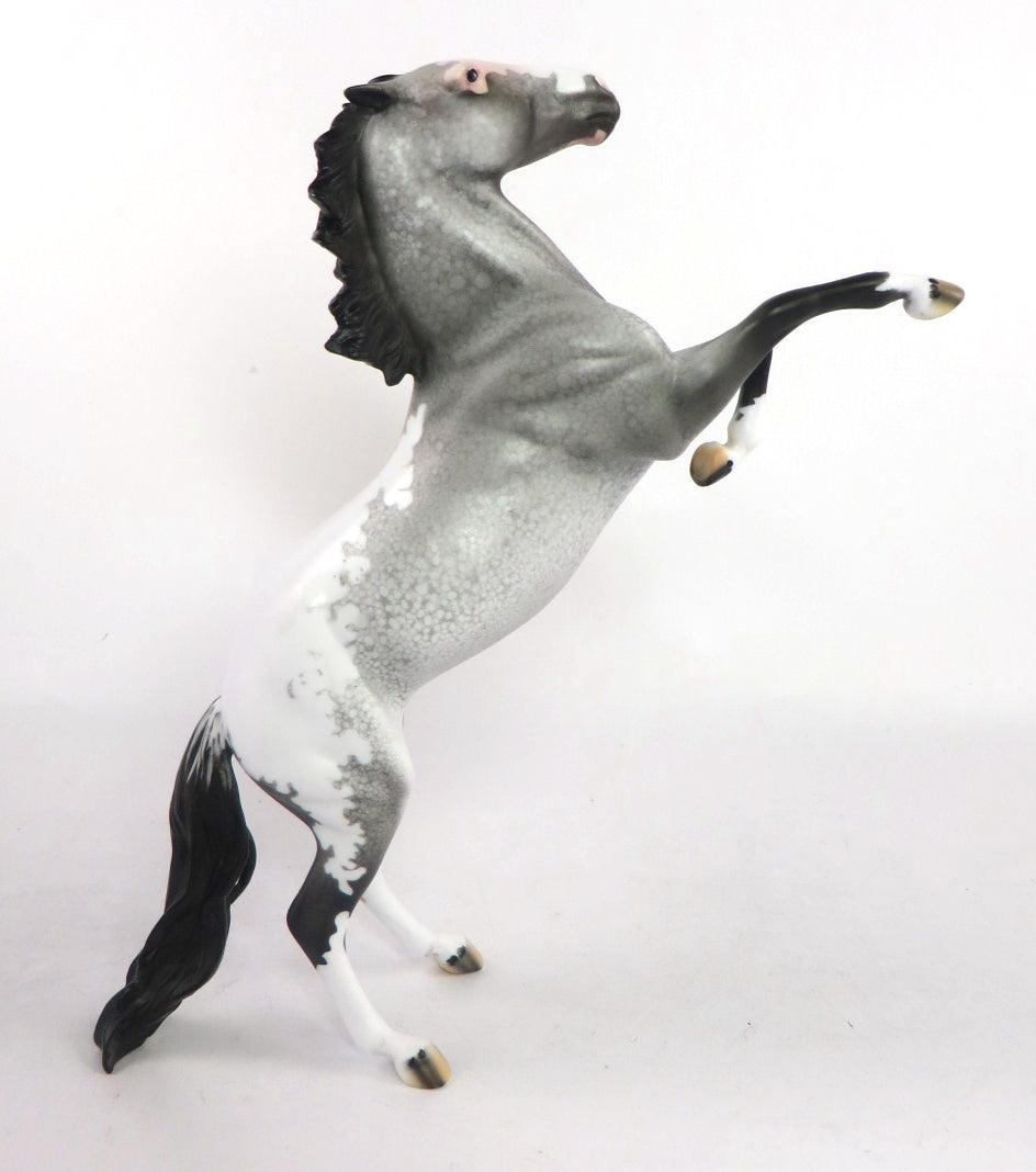 CHAMPAGNE AFTER DARK- OOAK GREY APPALOOSA  PEBBLES BY DAWN QUICK 02/14/20