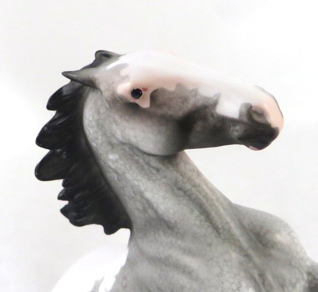 CHAMPAGNE AFTER DARK- OOAK GREY APPALOOSA  PEBBLES BY DAWN QUICK 02/14/20