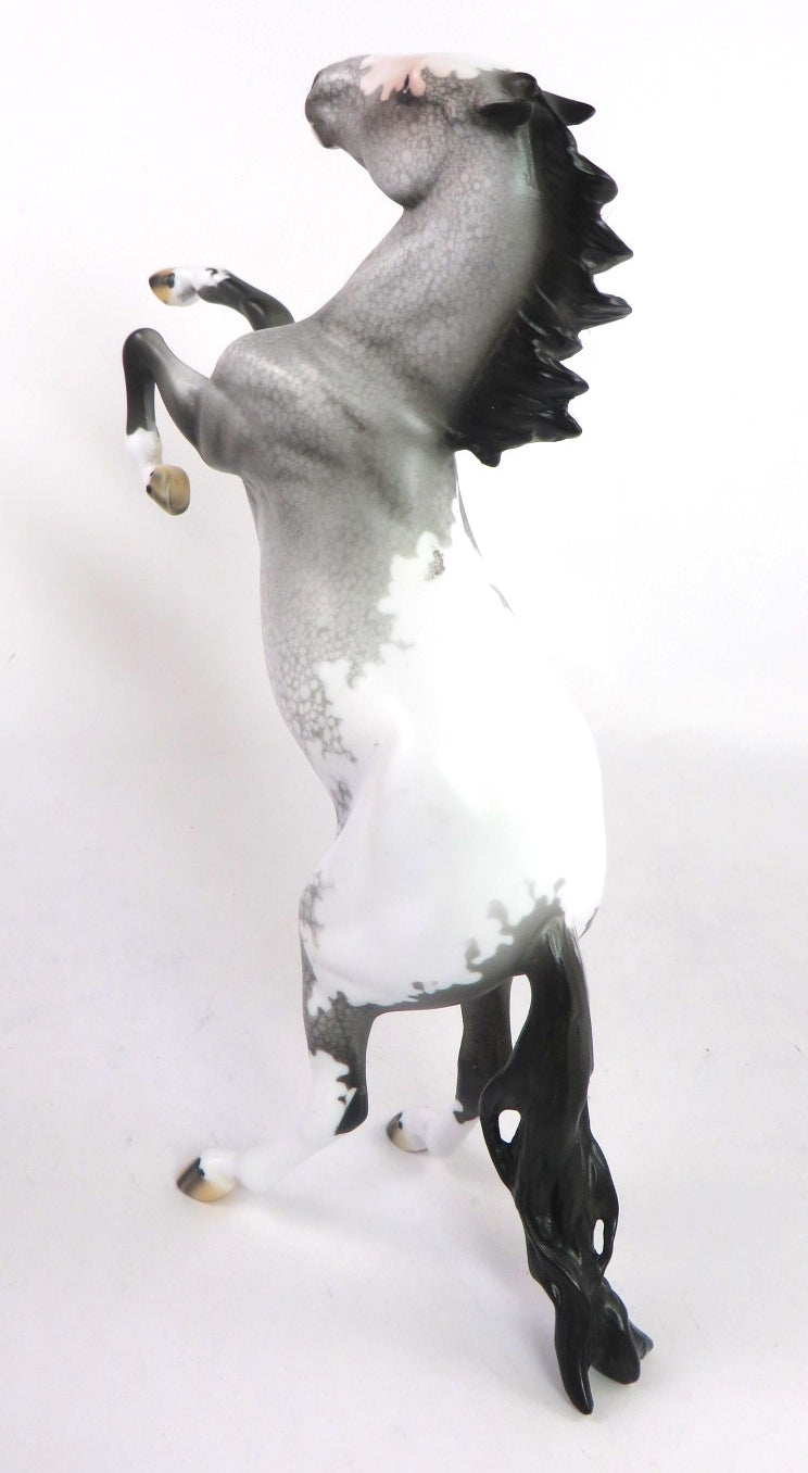 CHAMPAGNE AFTER DARK- OOAK GREY APPALOOSA  PEBBLES BY DAWN QUICK 02/14/20