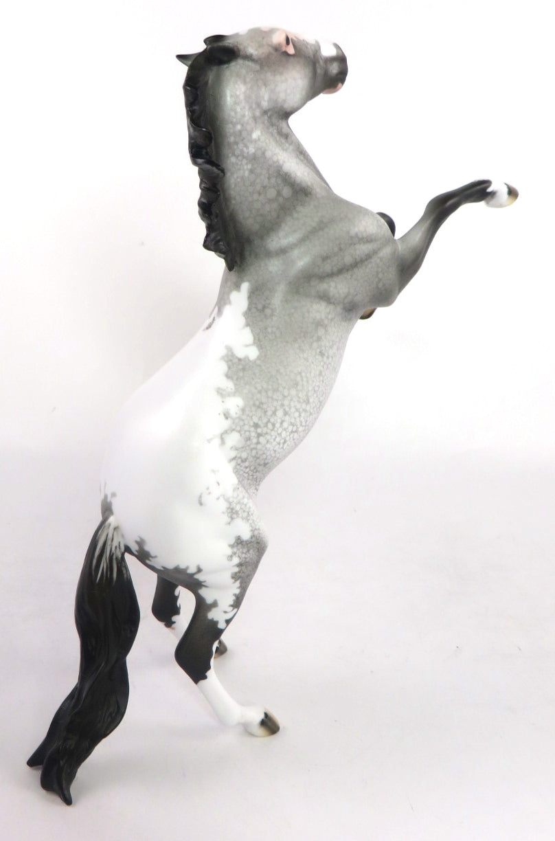 CHAMPAGNE AFTER DARK- OOAK GREY APPALOOSA  PEBBLES BY DAWN QUICK 02/14/20